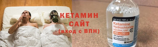 стаф Алзамай