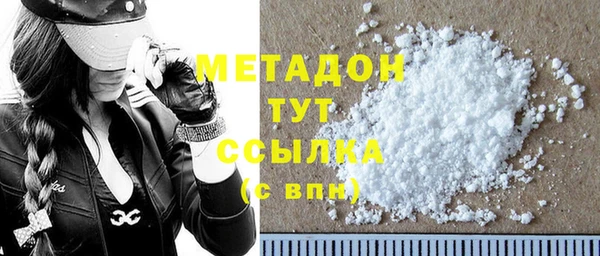 стаф Алзамай