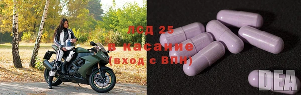 сатива Армянск