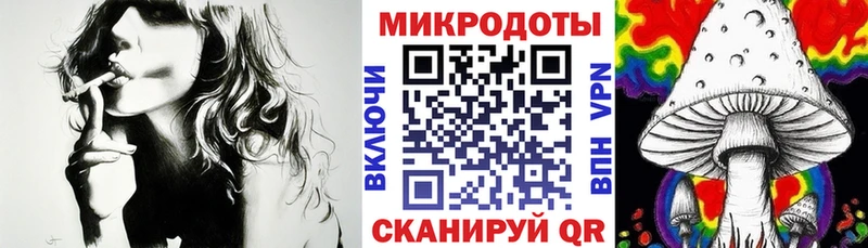 Купить где  Кола  Псилоцибиновые грибы GOLDEN TEACHER 
